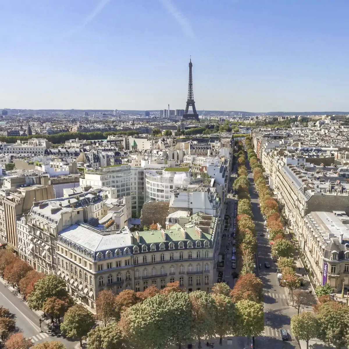 50 Avenue Montaigne